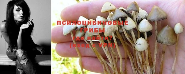 apvp Дмитров
