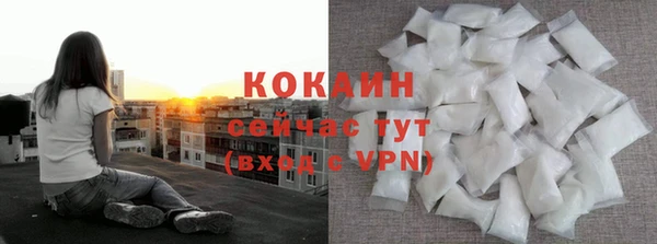 дмт Дмитриев