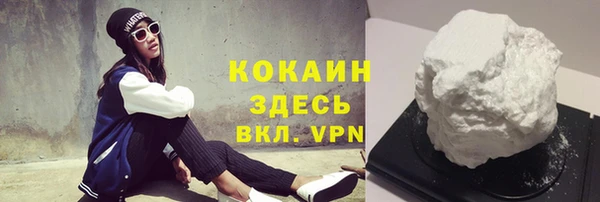 дмт Дмитриев