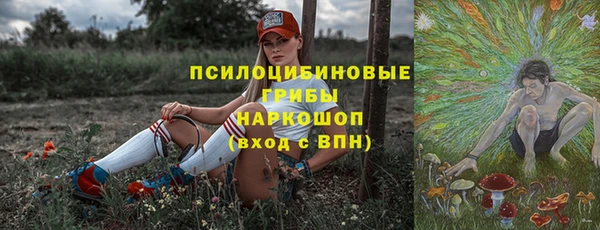 СК Дмитровск