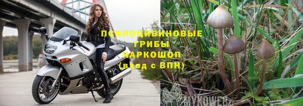 СК Дмитровск