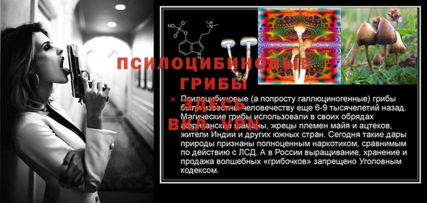 СК Дмитровск