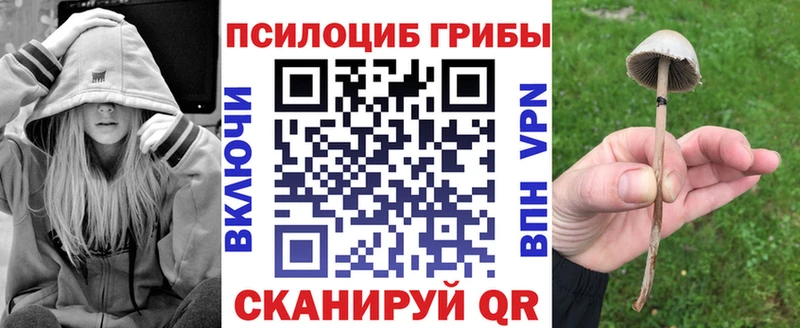 Галлюциногенные грибы Psilocybine cubensis  Невель 